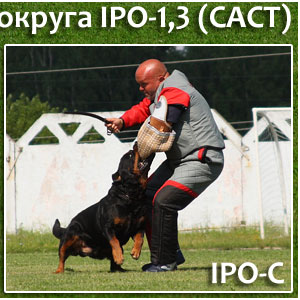    FCI-IPO-C CACT 2009